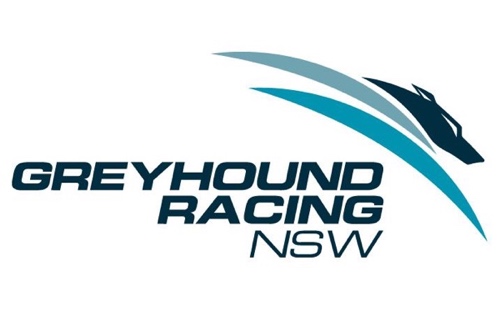 racing nsw