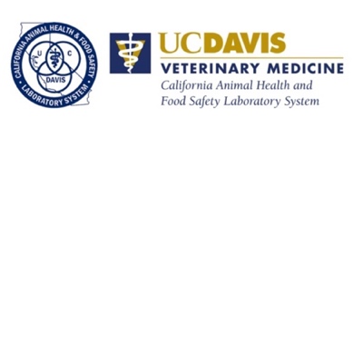 Fellowship Program – Musculoskeletal Pathology of Racehorses at UC Davis