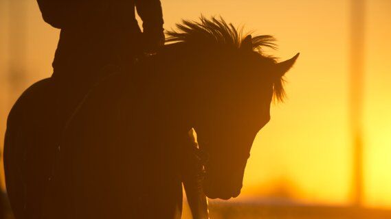 Image for twitter card