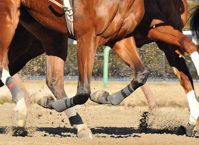 Image for twitter card