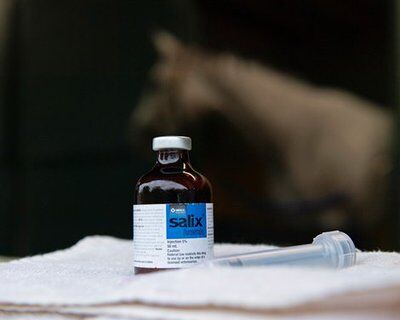 Image for twitter card